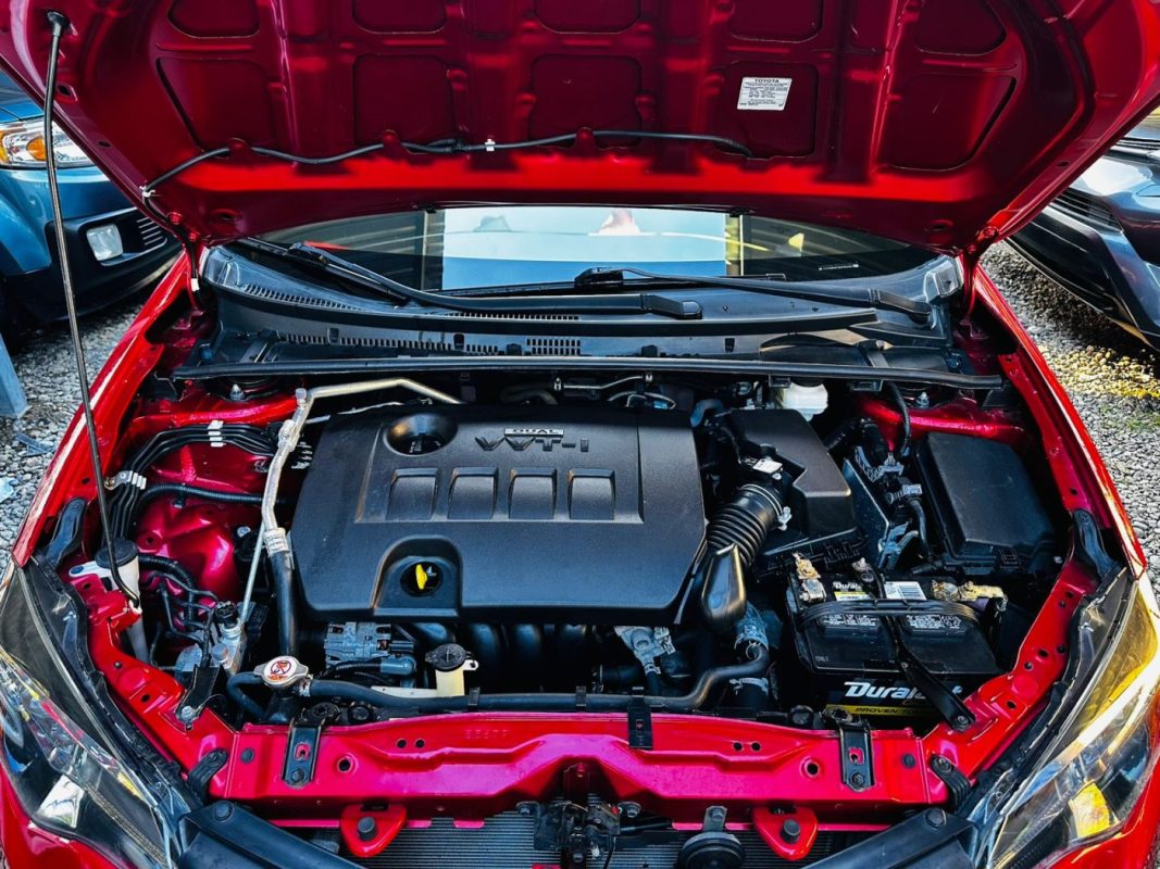 IMG-20250224-WA0241