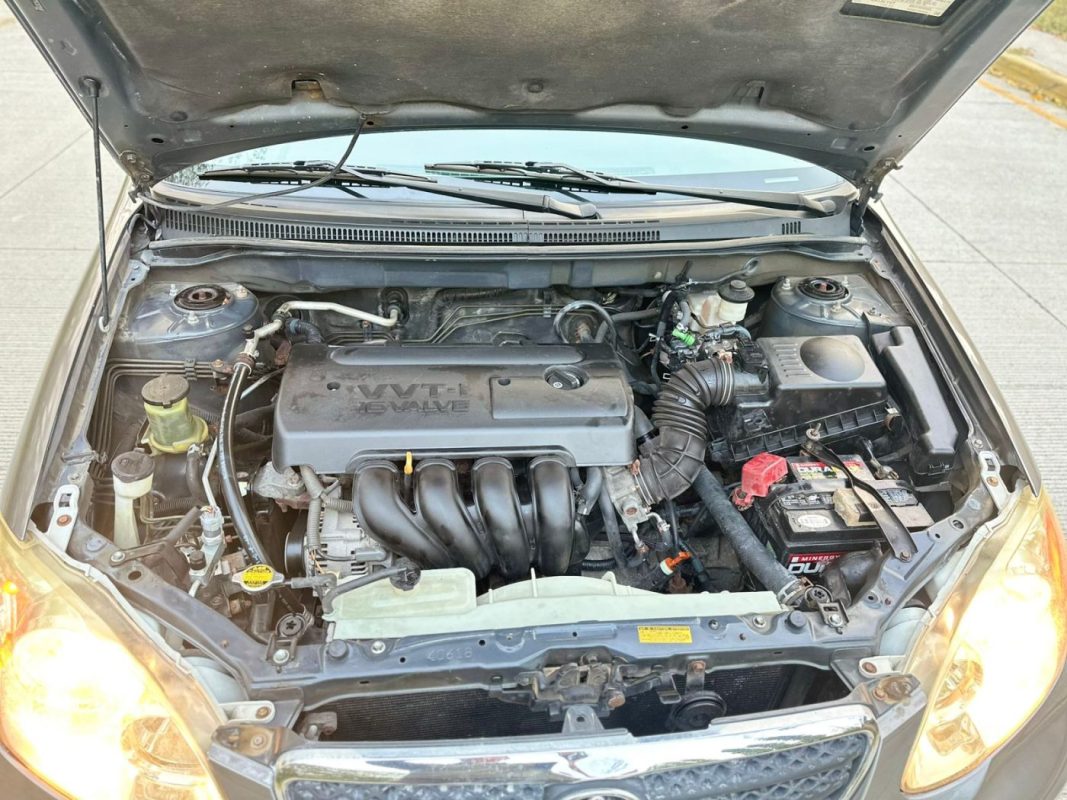 IMG-20250515-WA0855
