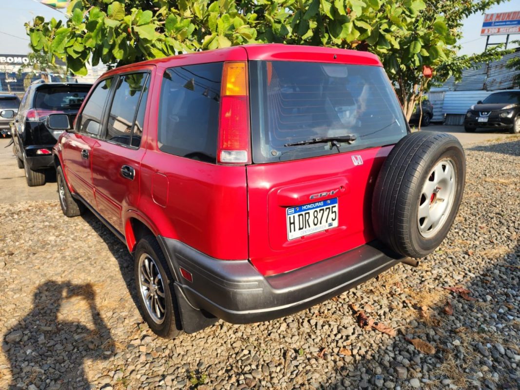 IMG-20250522-WA0338