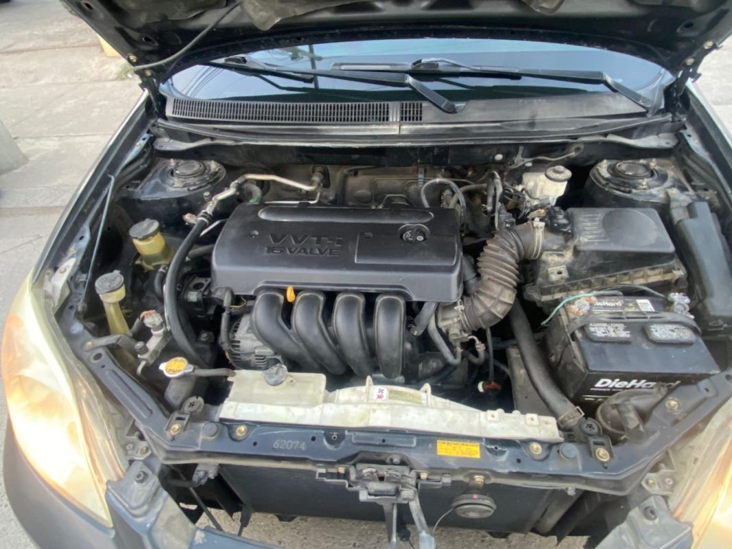 IMG-20250609-WA0213