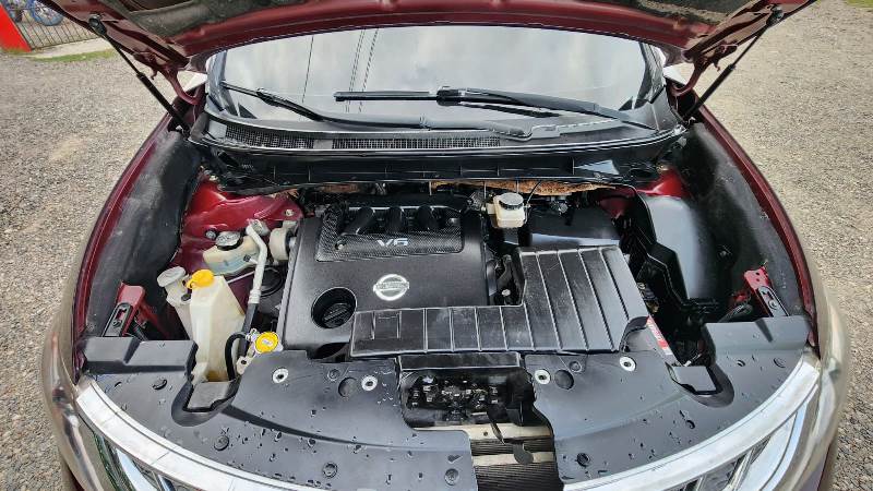 IMG-20250617-WA0288