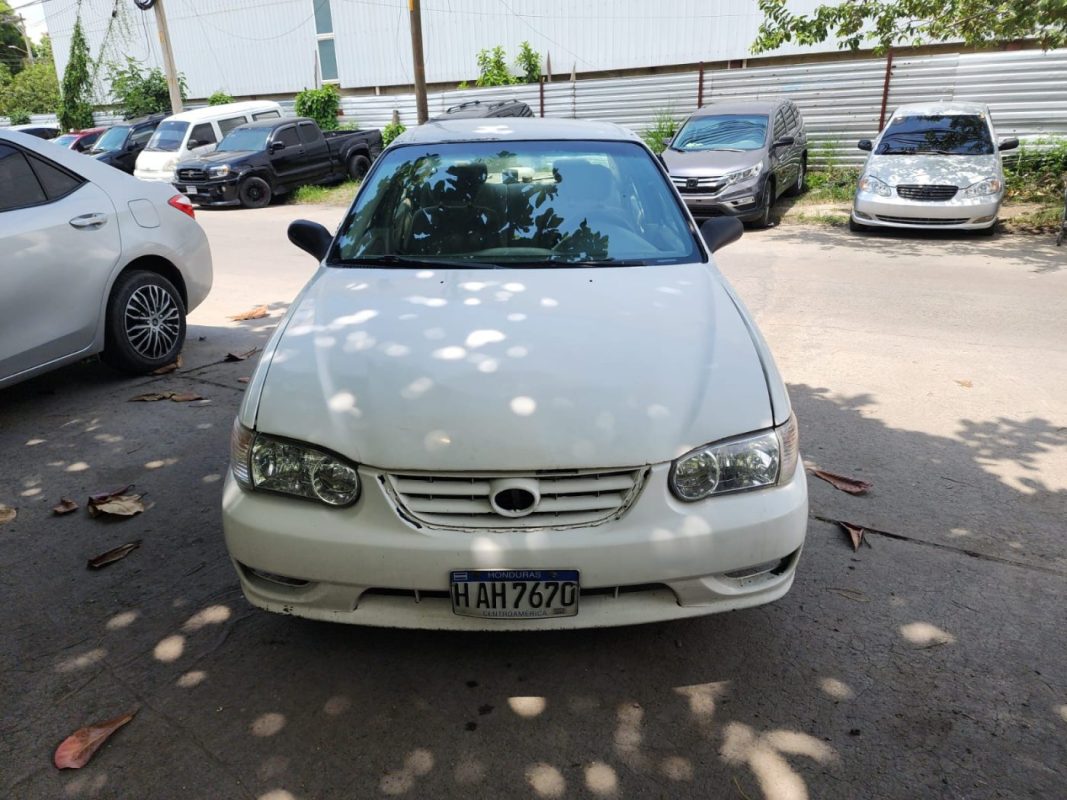 IMG-20250705-WA0303
