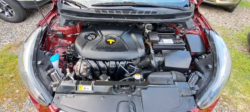 IMG-20250828-WA0229