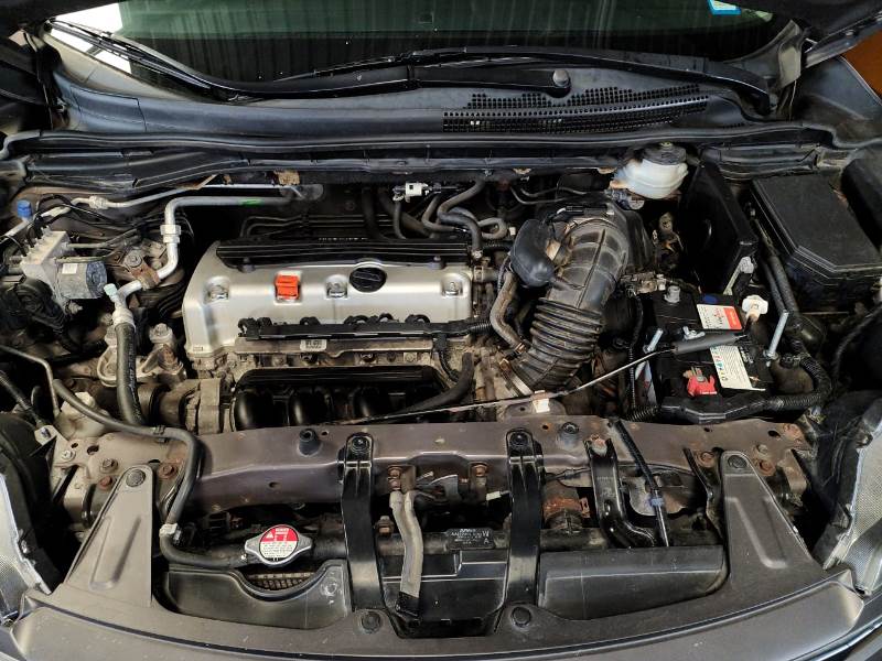 WhatsApp Image 2025-08-26 at 8.16.16 AM