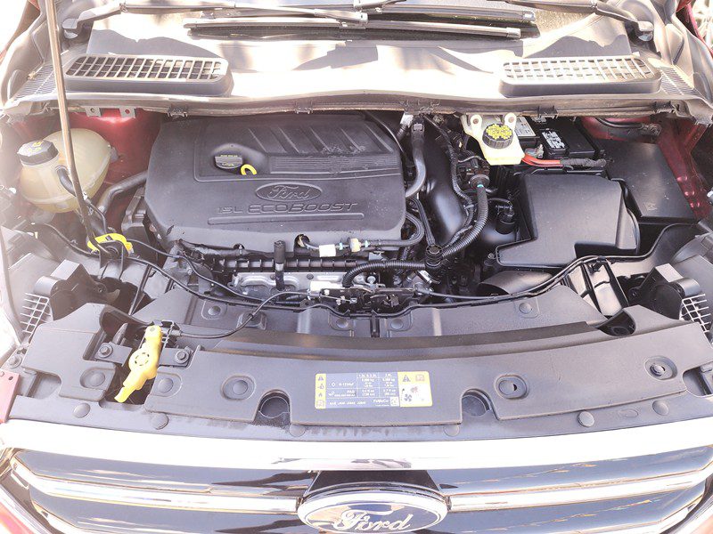 FJIMG_20250922_140428