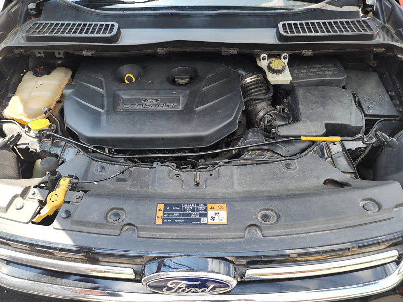 FJIMG_20250930_110159