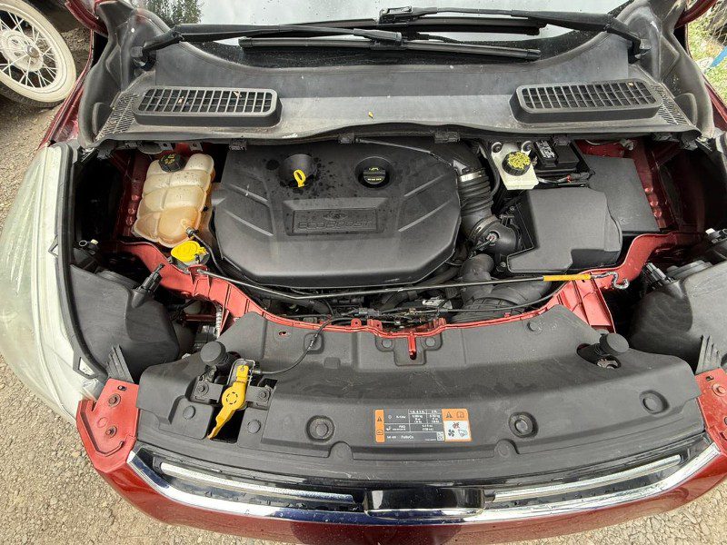 IMG-20250828-WA0306