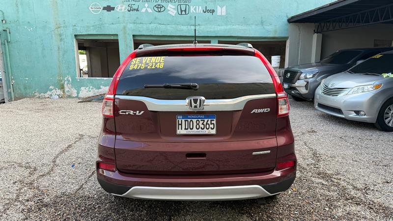 WhatsApp Image 2025-09-04 at 5.07.58 PM (1)