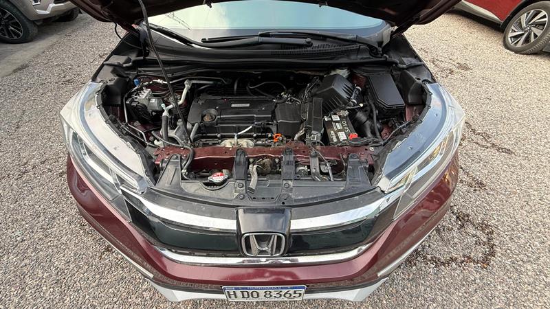 WhatsApp Image 2025-09-04 at 5.07.59 PM (1)