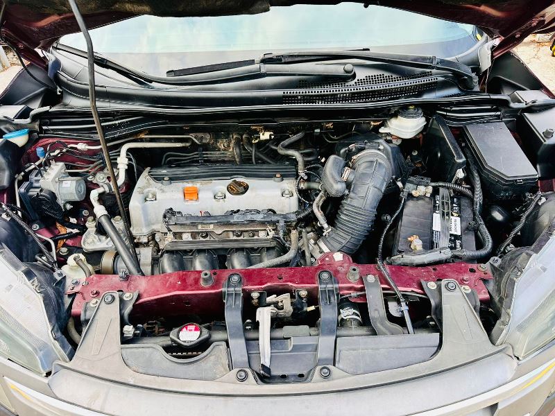 WhatsApp Image 2025-09-17 at 5.18.26 PM (2)