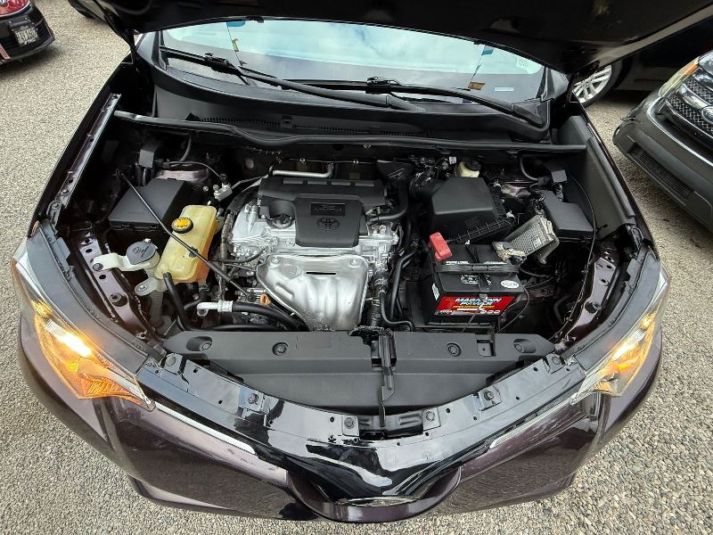 WhatsApp Image 2025-09-19 at 3.40.27 PM (1)