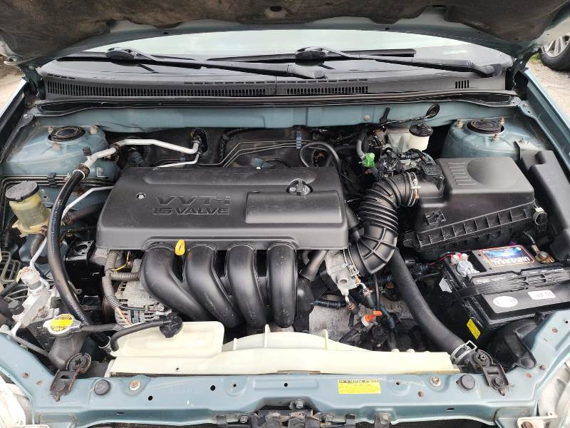 WhatsApp Image 2025-09-24 at 5.37.25 AM