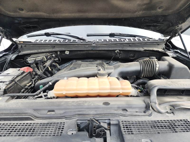 WhatsApp Image 2025-09-24 at 5.37.28 AM (3)