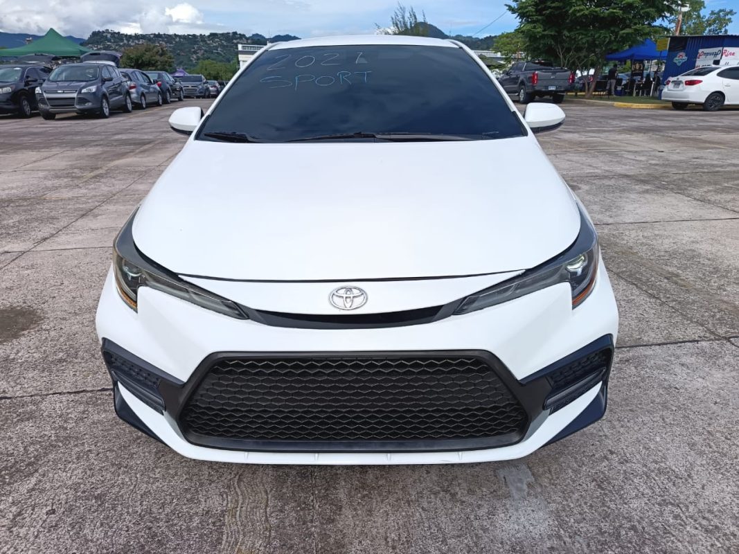 b5419928-d55a-4994-a0e4-511d0ff0fef4