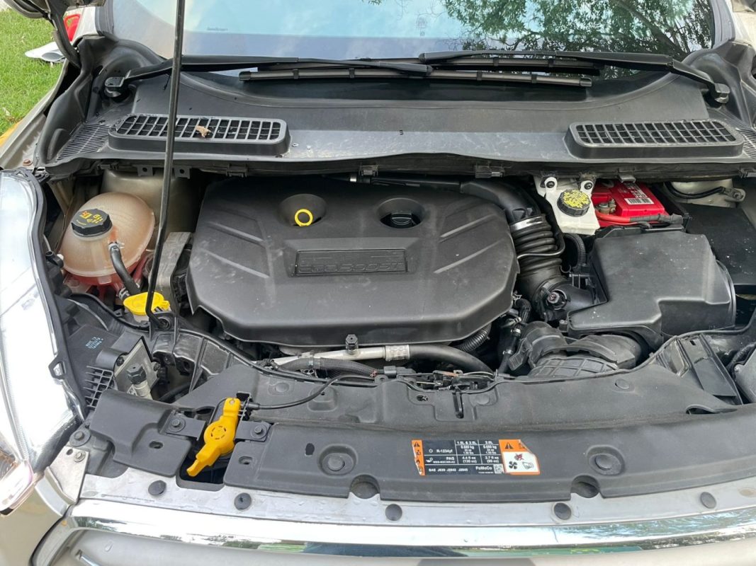 c38f2d4d-664d-4e64-8e1a-1dfe3ca6c945