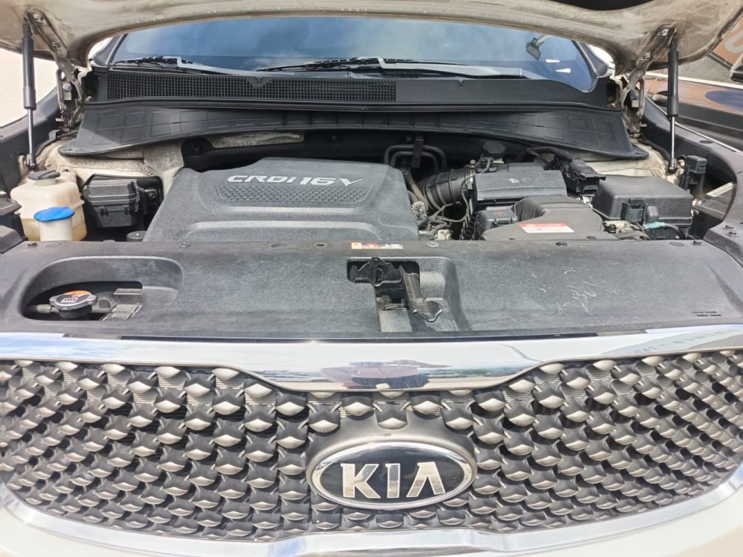 4313aa31-cdf1-4c0a-8819-4deff04c9724