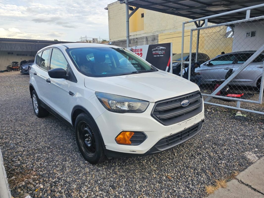 44162692-d384-495a-92d5-63d3d7d1d1b4