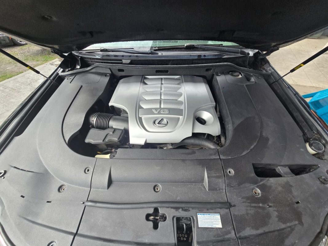 4a4a7523-0318-4aa8-a4c9-7f9932020a1e