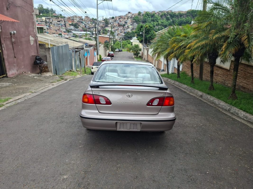 53baab6d-5996-417a-8b18-4d949bd54099