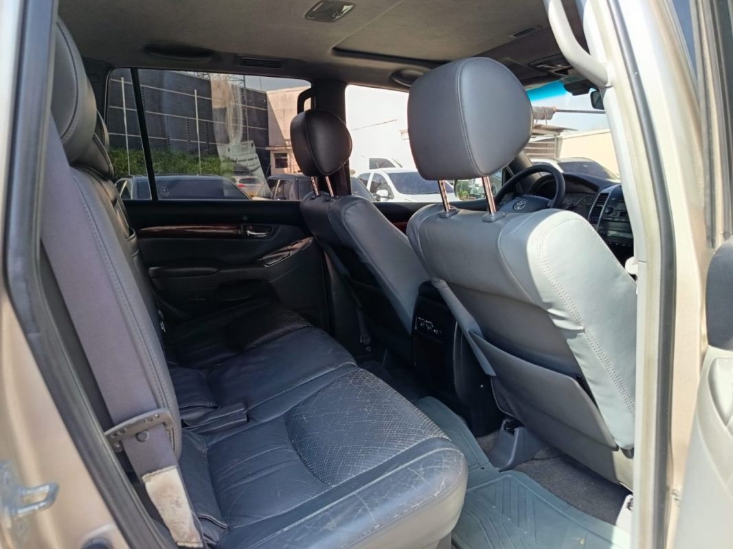 5e8856cd-6d63-481d-9886-18d81dabd6e3