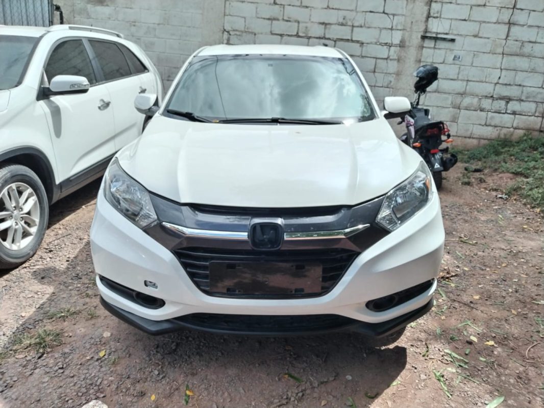 76fef992-215c-4761-9053-43ecf6734d59