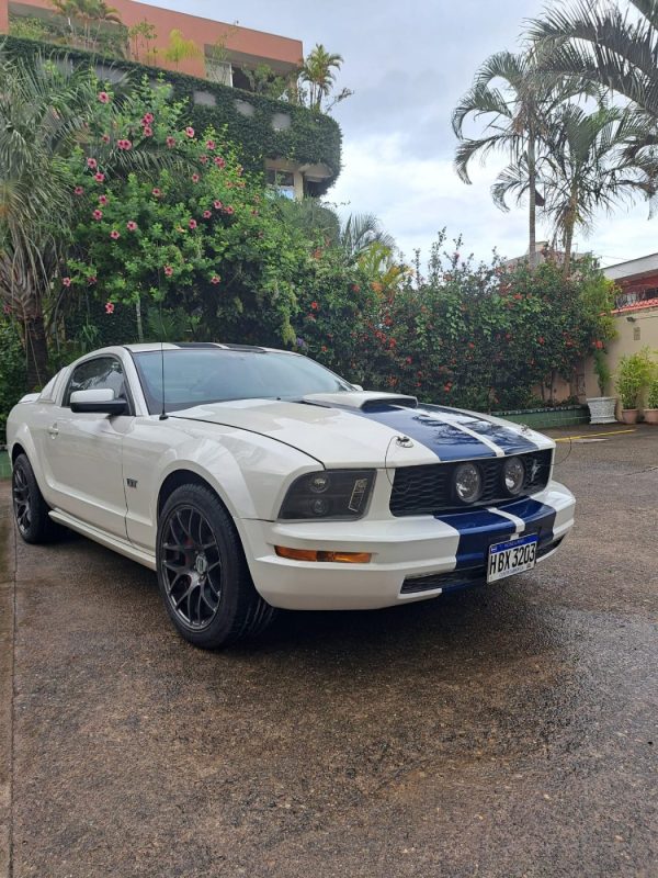 8caa67e9-bda7-463f-8187-35dac32595cc