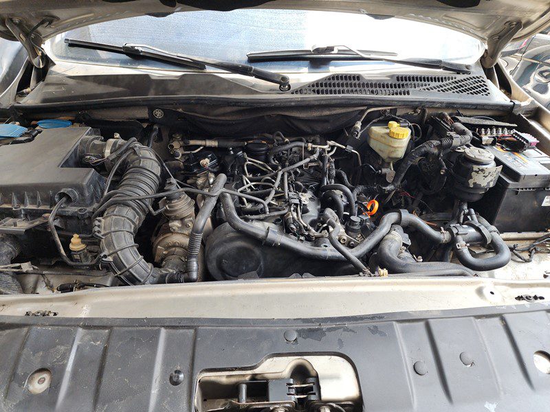 FJIMG_20251009_124548