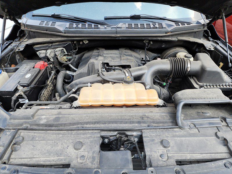 FJIMG_20251009_132918