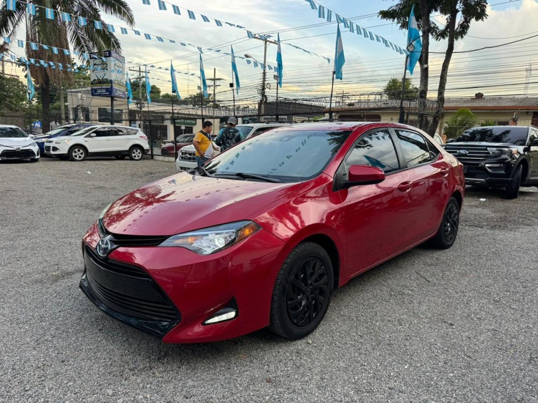 WhatsApp Image 2025-10-07 at 5.07.39 PM