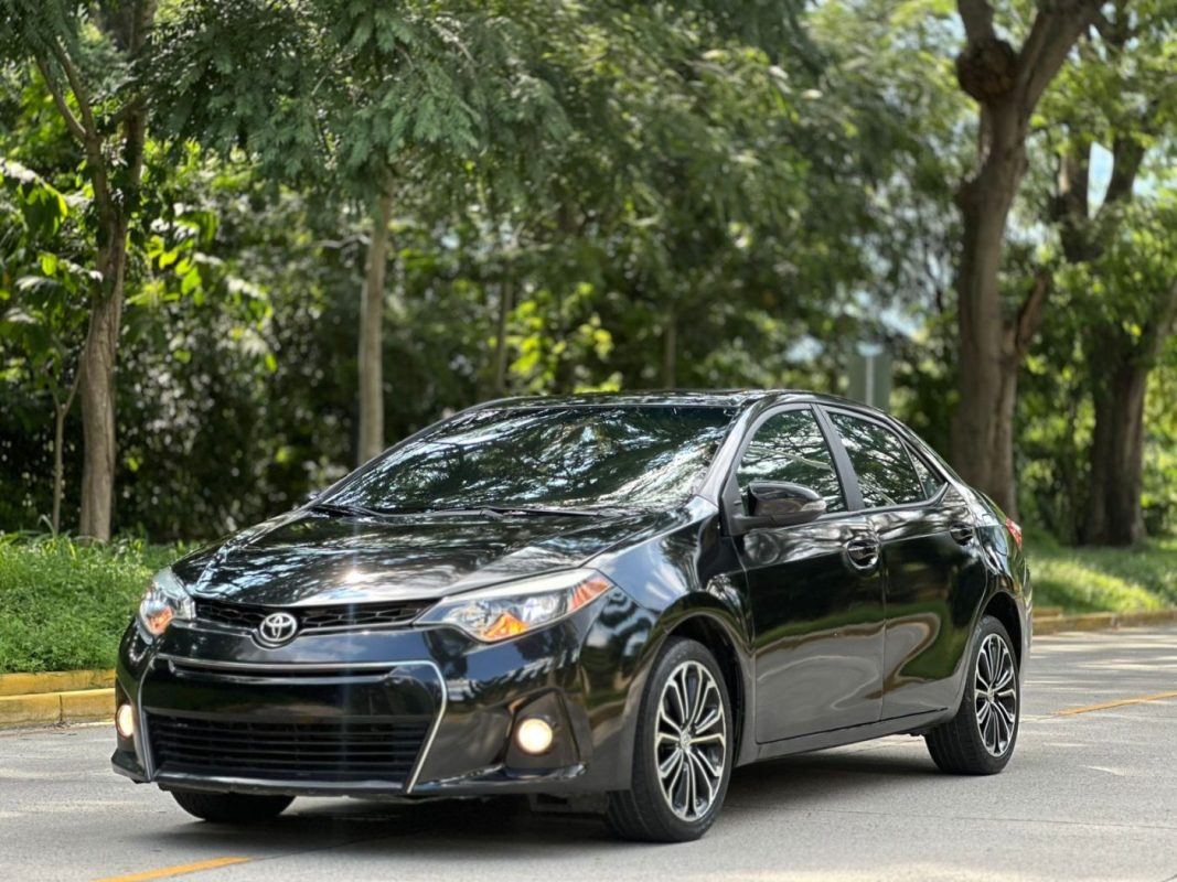 WhatsApp Image 2025-10-09 at 4.44.27 PM (1)