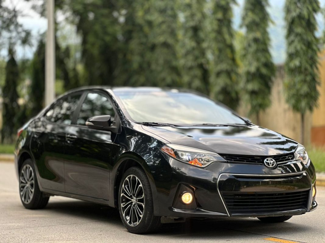 WhatsApp Image 2025-10-09 at 4.44.27 PM