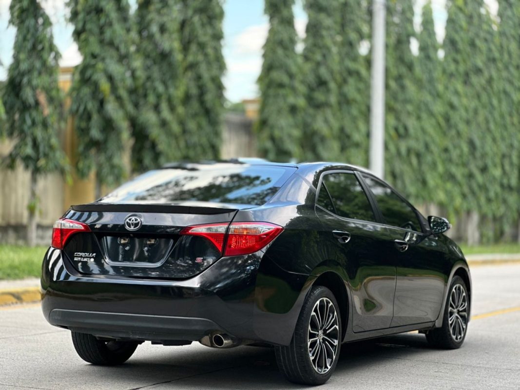 WhatsApp Image 2025-10-09 at 4.44.28 PM (1)