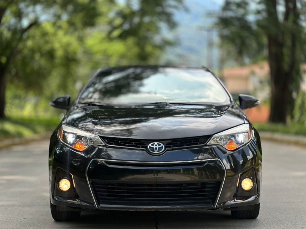 WhatsApp Image 2025-10-09 at 4.44.28 PM