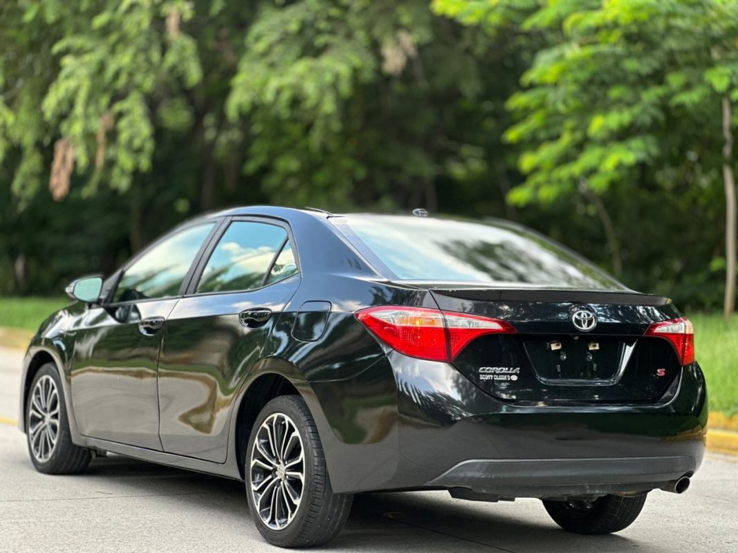 WhatsApp Image 2025-10-09 at 4.44.30 PM (3)