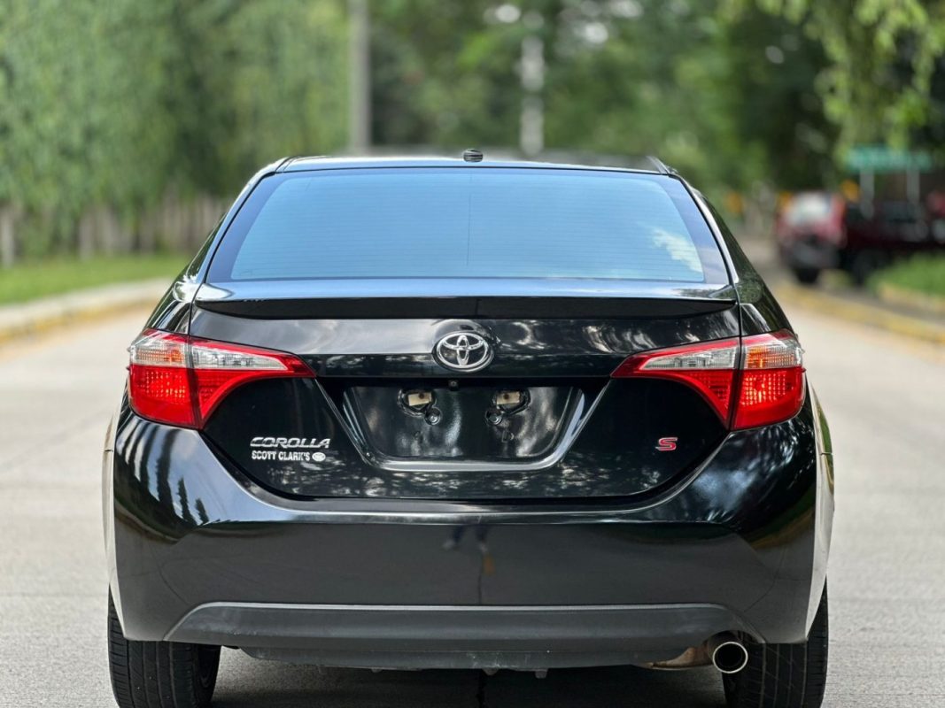 WhatsApp Image 2025-10-09 at 4.44.31 PM