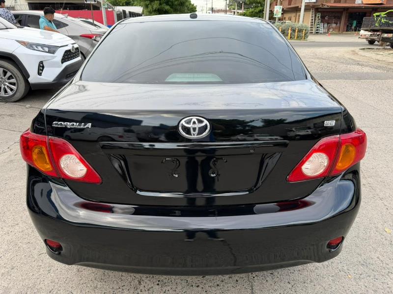 WhatsApp Image 2025-10-10 at 9.37.15 AM