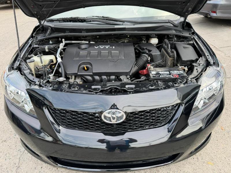 WhatsApp Image 2025-10-10 at 9.37.18 AM (1)