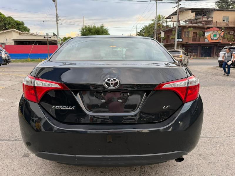 WhatsApp Image 2025-10-10 at 9.38.32 AM (3)