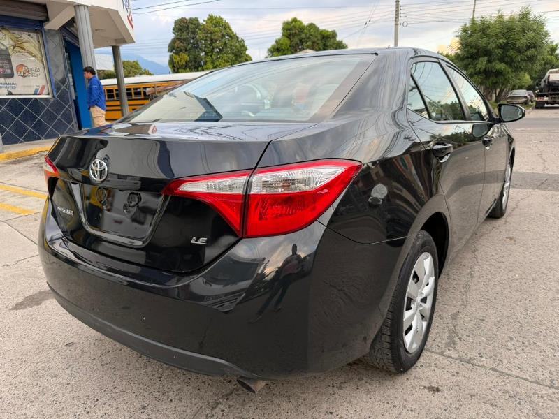 WhatsApp Image 2025-10-10 at 9.38.33 AM