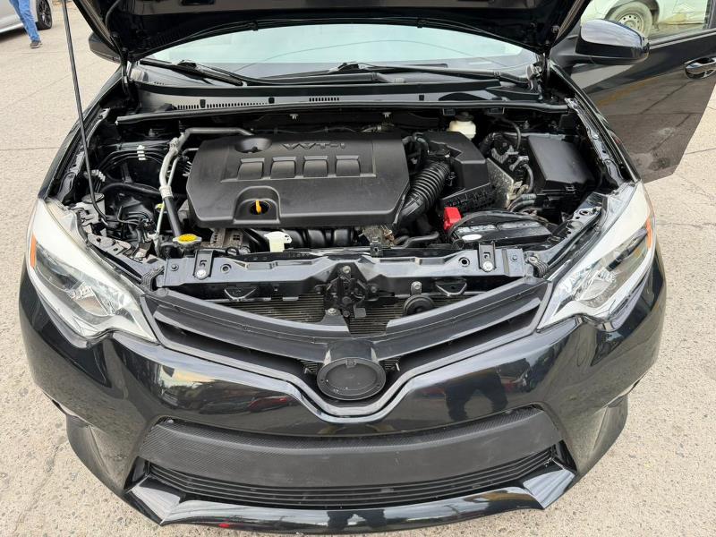 WhatsApp Image 2025-10-10 at 9.38.35 AM