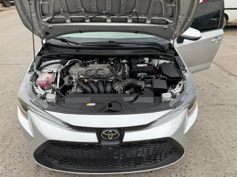 WhatsApp Image 2025-10-10 at 9.39.29 AM