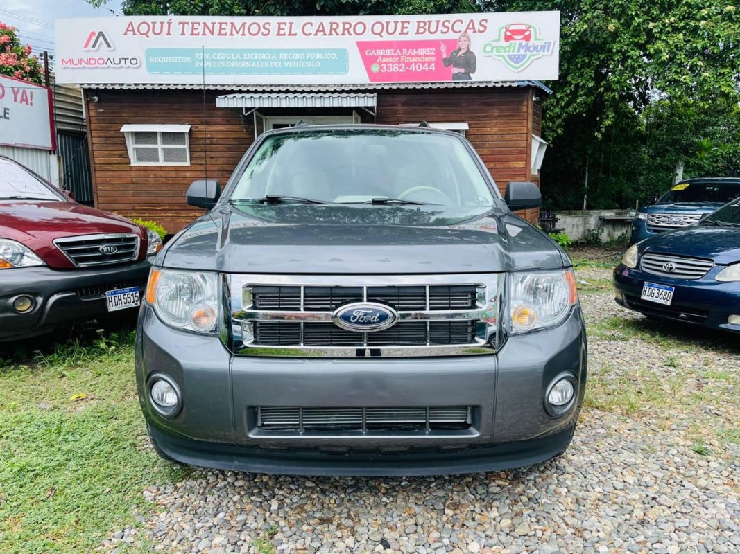 WhatsApp Image 2025-10-10 at 9.47.24 AM