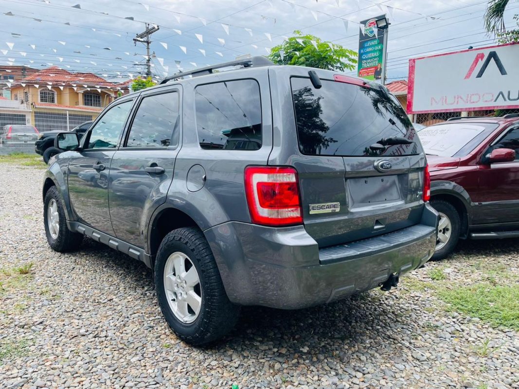 WhatsApp Image 2025-10-10 at 9.47.25 AM (1)