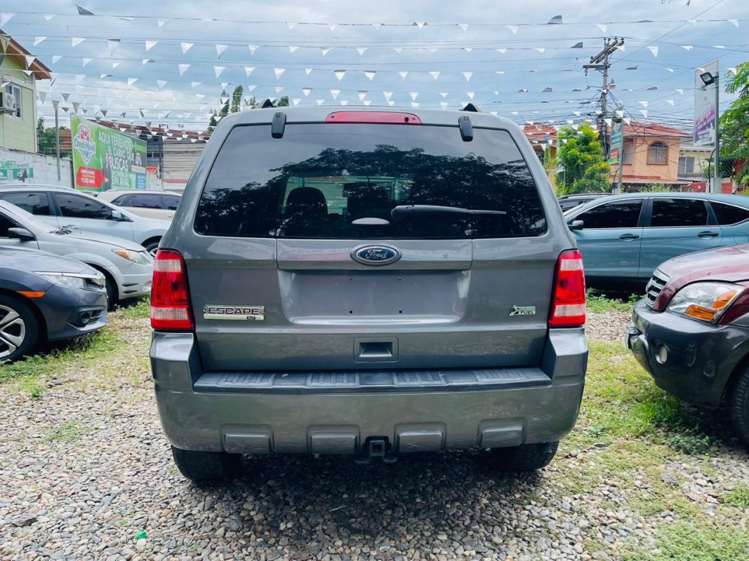 WhatsApp Image 2025-10-10 at 9.47.26 AM