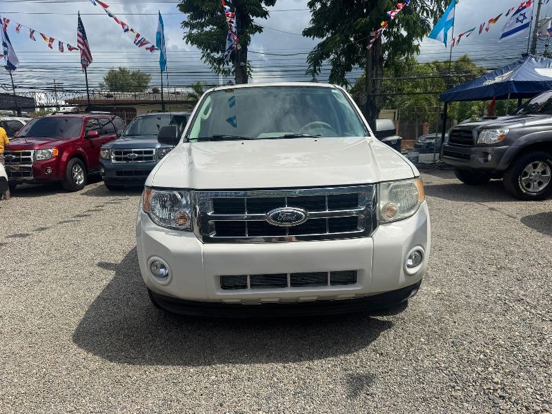 WhatsApp Image 2025-10-12 at 11.34.30 AM