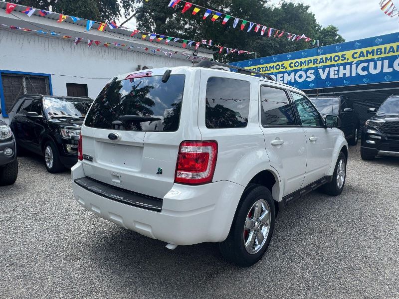 WhatsApp Image 2025-10-12 at 11.34.42 AM (1)