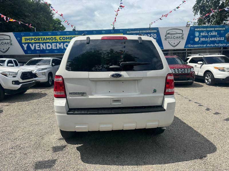 WhatsApp Image 2025-10-12 at 11.34.44 AM