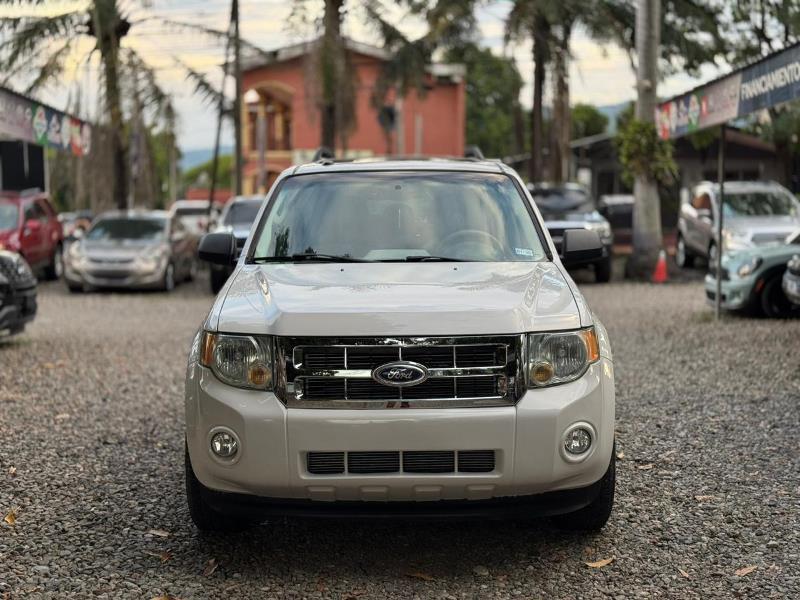 WhatsApp Image 2025-10-13 at 10.39.33 PM