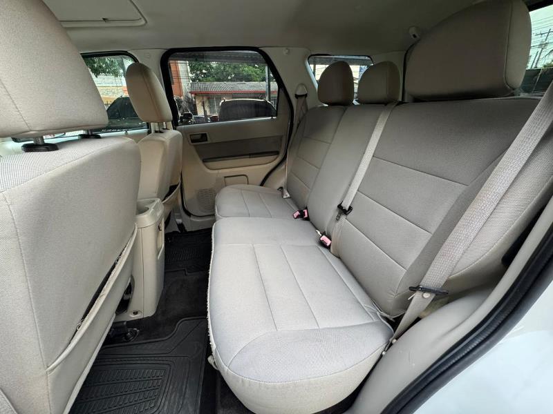 WhatsApp Image 2025-10-13 at 10.39.39 PM