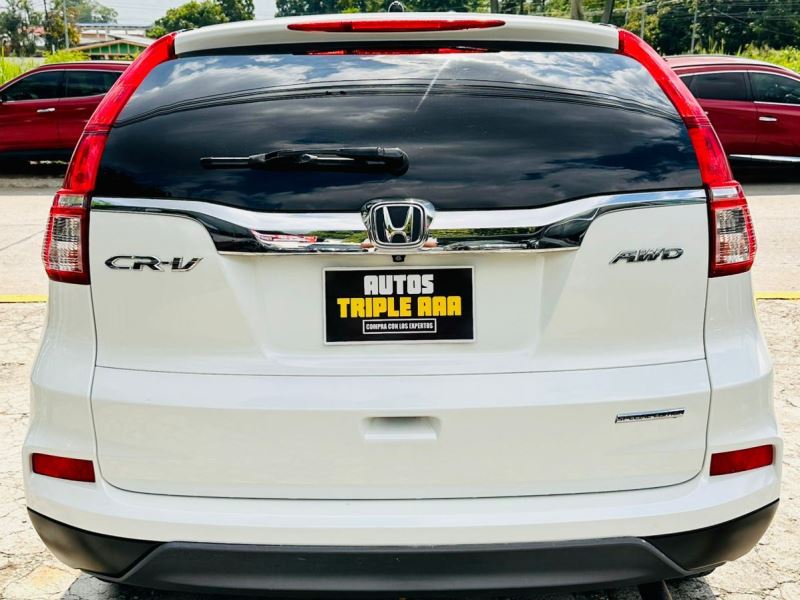 WhatsApp Image 2025-10-15 at 10.31.46 AM (1)